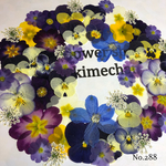 ♡new♡ 送料無料！¥1520 ♡たっぷり押し花セット♡