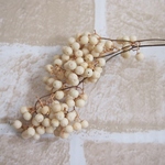 ペッパーベリーオフホワイト