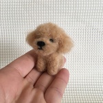 羊毛フエルト　トイプードル　ｱﾌﾟﾘｺｯﾄミニお座りポーズ