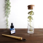 【受注生産】植物標本　Botanical Collection■スリムボトル■ヤツデの実