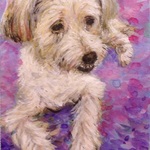 オーダー水彩画 *マイペット*ポストカード