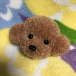 毛糸のぽんぽん トイプードルブローチ （茶色・サイズ小）