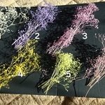 17色になりました：選べる3色：つぼみかすみ草　ソフトかすみ草