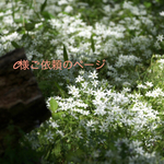 C様ご依頼のページ