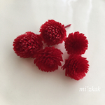 千日紅  レッド  プリザーブドフラワー