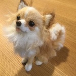1m2m3m様 専用ページ