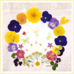 押し花＊ミックスY13