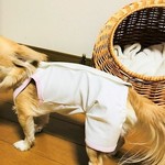 手術直後の術後保護服　