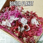 BONITA PLANET♥フラワーボックス