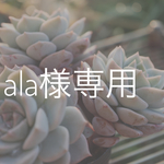 ala様専用 リース
