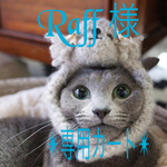 Raff 君 専用カート