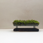 cement-wood-moss-table 1  