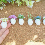 【まとめ売り】手間いらずのグリーン＆フラワーinたまご鉢★イースターなどに