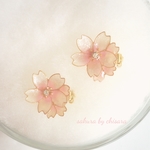 【送料無料】寒桜🌸ブローチピン