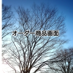 オーダー商品●開運●蛇の脱け殻 お守り﻿●今年は密かに運気アップ！金運 子宝 魔除け●財布