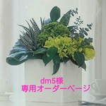 dm5様 専用オーダー品