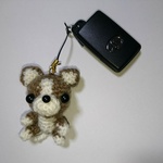 一緒におでかけするチワワ。