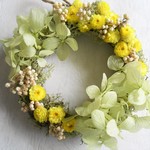 イモーテルの花園リース