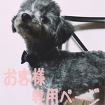 首輪&リードセット