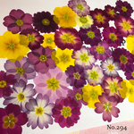 ♡人気商品♡送料無料！訳ありジュリアン 押し花セット♡