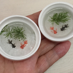 白い器入り金魚  2匹　