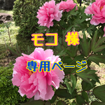 ☆モコ様専用ページ☆