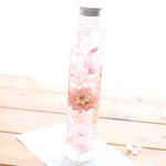 <数量限定>ハーバリウム さくら色 - SAKURA -