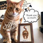 【chfhc 様 専用】※大変申し訳ありませんが、他の方のご購入はご遠慮願います。