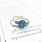 Ring〜星に願いを…〜