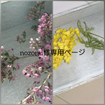 nozomi様専用ページ