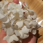 花材 ソフトゆめアジサイ オフホワイト