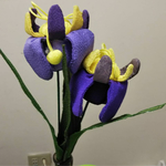 菖蒲の花 
