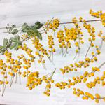 ミモザのお花ハンドメイド用