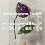 専用ページ