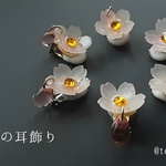 桜一輪の耳飾り (イヤリングorピアス)