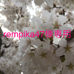 rempika47様専用ご購入フォーム