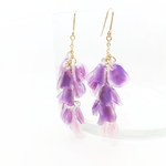 赤藤ピアス/イヤリング