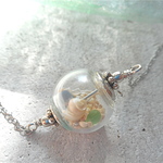 Beach Terrarium  ☆再販☆