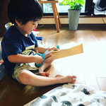 ma-hi16様専用 傘くま・ちょうちょ4点