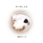 ゆーゆんさま 専用ページ
