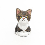 コルクのうずキジ白・子猫