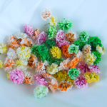 かすみ草ドライフラワー♡限定mix