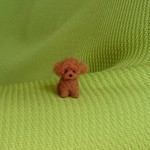 トイプードル  レッド パピー 羊毛フェルト