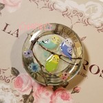 インコマグネット(◍ ´꒳` ◍)