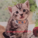runnyanbambi様専用