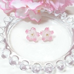 桜シルエットピアス（ピンク）
