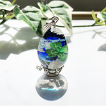 澄み渡る大空〜青空とクローバー〜