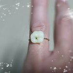 宝石入り 歯の指輪 ペリドット入り かわいいリング 送料無料‼️