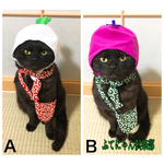 再入荷！唐草模様柄猫ちゃんのバッグ、首輪