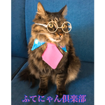 スプレーペイント柄三角襟ネクタイ猫ちゃんの首輪
